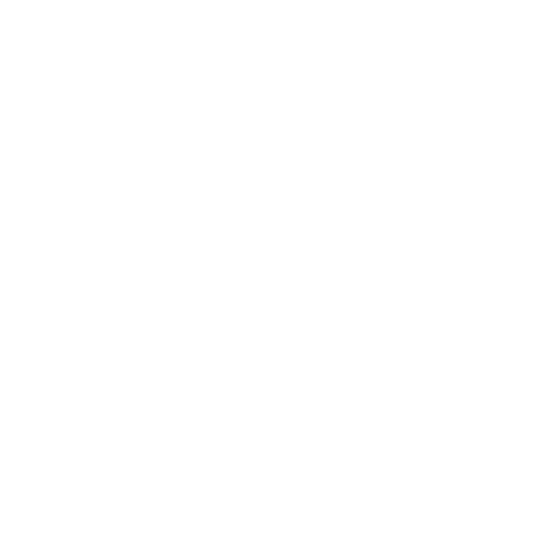 SALVA-VIDA